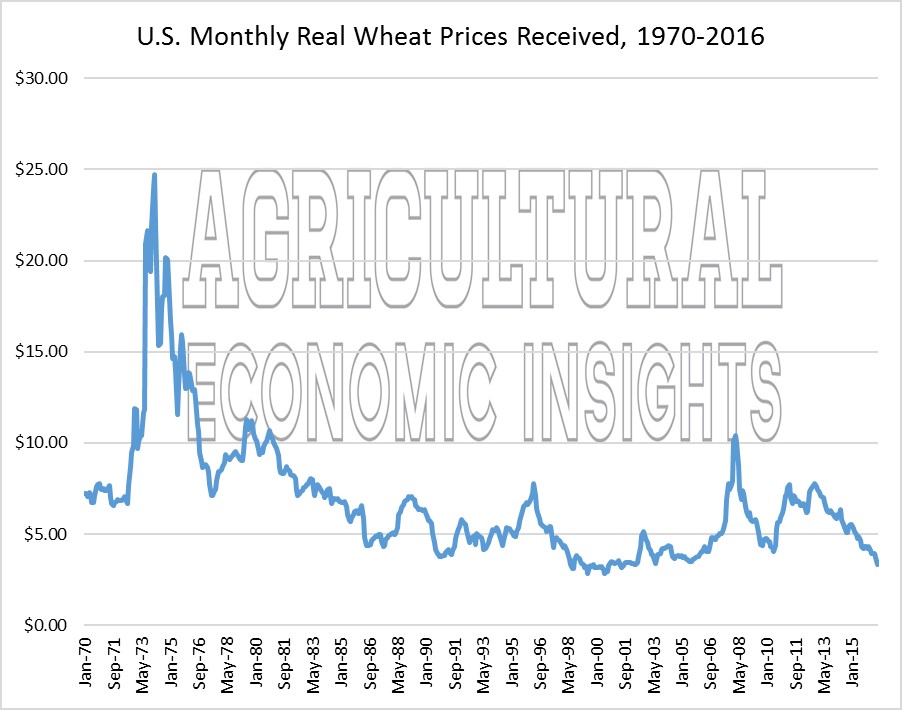wheat prices. ag trends. agricultural economic insights